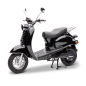 Preview: Retro E-Roller, Bosch Elektro-Motor